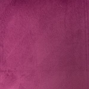 Araldo - Eggplant