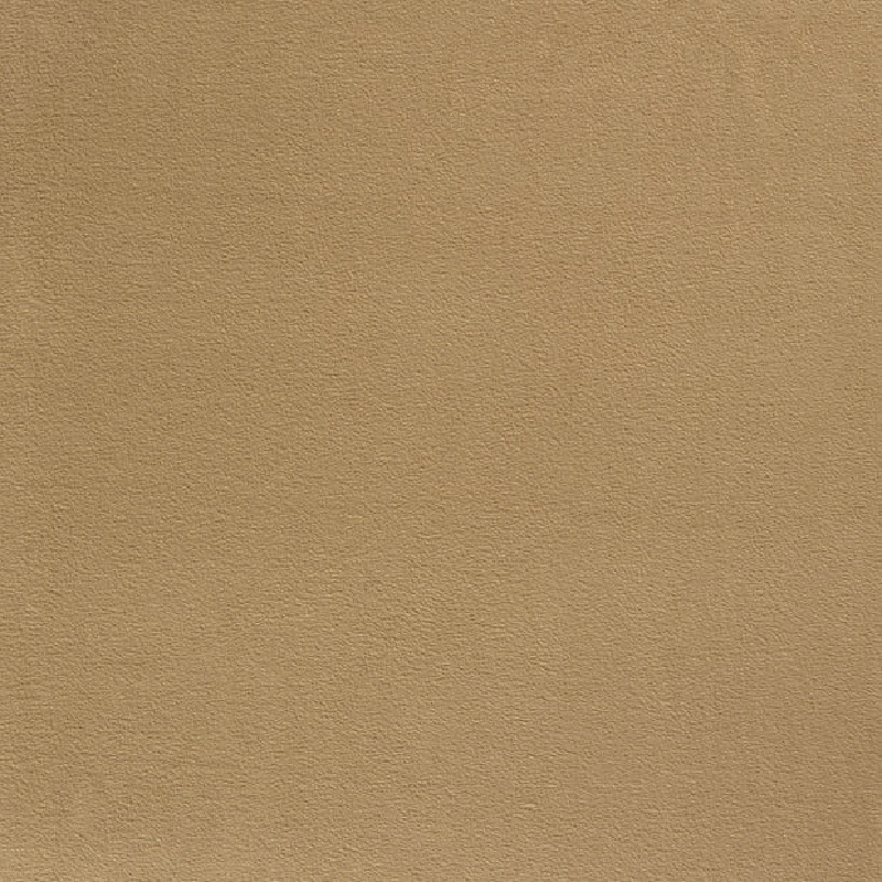 Brushed Polar Fleece - 252 Beige