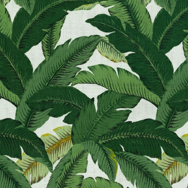 Swaying Palm TBO - 800740 Aloe