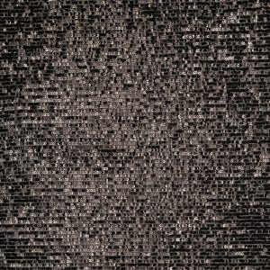 Lace Allover Sequins 200637 - 5001 Black