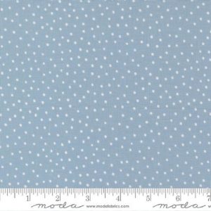 Blossoms And Blooms 39056 - 20 Sky