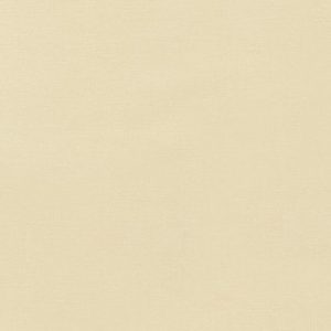 Kona - Champagne 1069