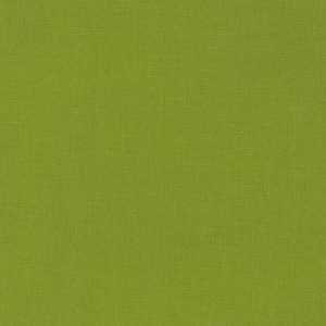 Kona - Gecko 1843