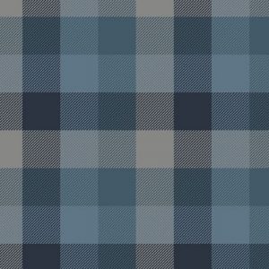 Primo Plaid Cool Blue Flannel R091414 - Denim