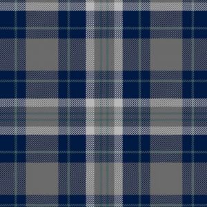 Primo Plaid Cool Blue Flannel R091417 - Navy