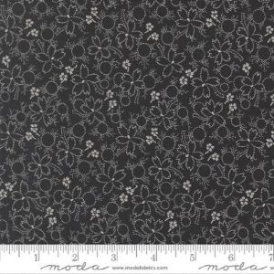 Wonder 33835 - 17 Midnight