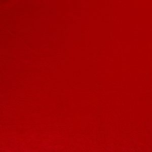 Brushed Polar Fleece - 015 Red