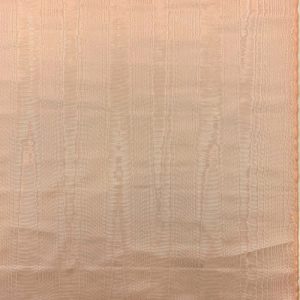 Classic Moire 54 - Shrimp