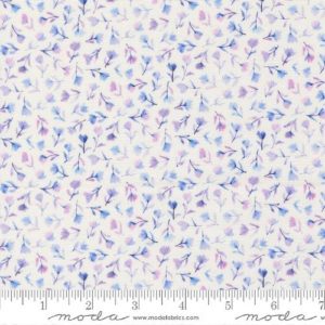 Delphinium 24654 - 11 Snowdrop