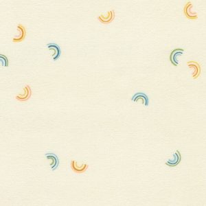 Cozy Cotton Flannel 21361 - 263 Rainbow