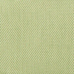 Bemberg - Apple Green B117